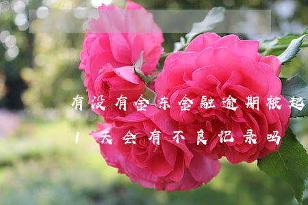有没有金东金融逾期被起诉的(金东金融逾期1天会有不良记录吗)