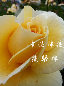 有法律援助可以再聘請律師嗎(去法院可以找援助律師嗎)