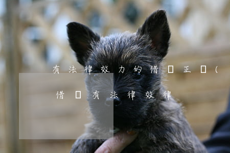 有法律效力的借條 正規(guī)范本(哪種借條有法律效律)