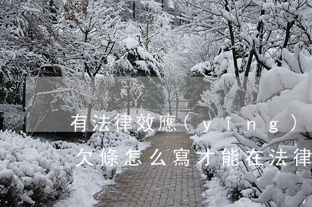 有法律效應(yīng)的欠條怎么寫圖片(欠條怎么寫才能在法律上生效)