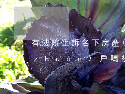 有法院上訴名下房產(chǎn)可以轉(zhuǎn)戶嗎(被起訴人的房產(chǎn)可以過戶嗎?)