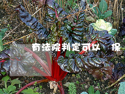 有法院判定可以報保險嗎(可以告保險公司嗎)