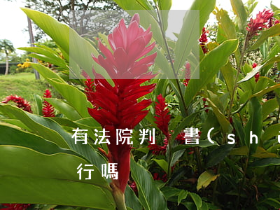 有法院判決書(shū)可以執(zhí)行嗎