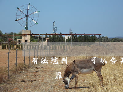 有法院判決書可以告其詐騙嗎(法院可以起訴詐騙罪嗎)