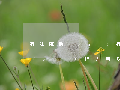 有法院執(zhí)行可以坐火車嗎(法院執(zhí)行人可以坐動(dòng)車)