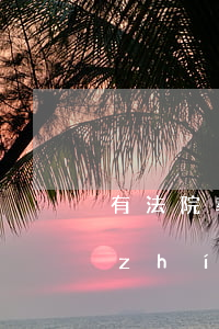 有法院執(zhí)行可以坐飛機嗎(被執(zhí)行人飛機能坐嗎)