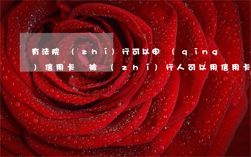 有法院執(zhí)行可以申請(qǐng)信用卡嗎(被執(zhí)行人可以用信用卡嗎)