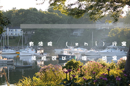 有法院執(zhí)行案件可以離婚嗎(人民法院可以審理離婚案件嗎)
