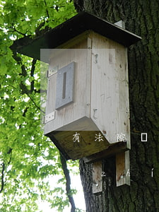 有法院執(zhí)行的怎么借錢-法院執(zhí)行人怎么貸款