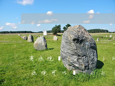 有法院執(zhí)行記錄可以貸款買房嗎(法院可以執(zhí)行按揭貸款房嗎)