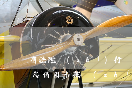 有法院執(zhí)行還可以辦理信用卡嗎(欠信用卡被執(zhí)行還能辦銀行卡嗎)