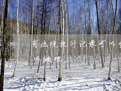 有法院执行记录可以坐高铁吗(被执行高铁可以做吧?)