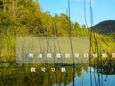 有法院標的可以按揭買房嗎(有按揭的房子法院可以執(zhí)行嗎)