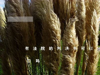 有法院的判决书可以分户吗(判决书可以分户口吗)