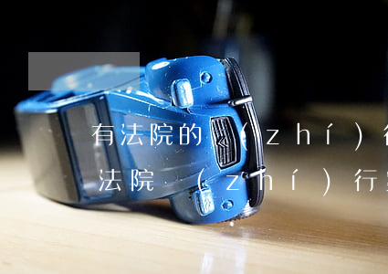有法院的執(zhí)行案號可以查案件嗎(法院執(zhí)行案號查詢細(xì)節(jié))
