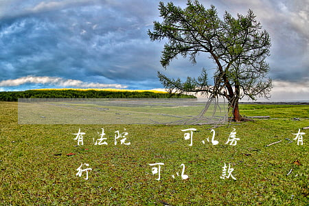 有法院記錄可以房貸嗎(有法院執(zhí)行記錄可以貸款嗎)