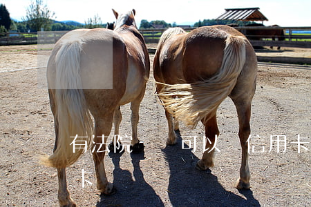 有法院記錄可以辦信用卡嗎(法院可以刷信用卡嗎) 有法院記錄可以辦信用卡嗎(法院可以刷信用卡嗎)