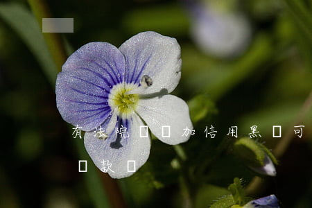 有法院訴訟加信用黑戶可以貸款嗎(黑戶可以貸款嗎?)