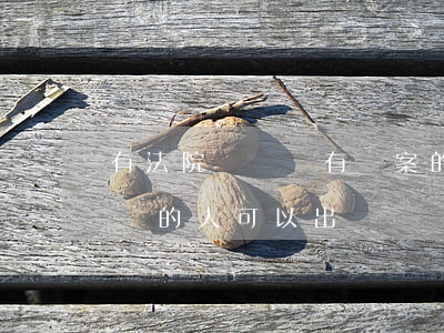 有法院訴訟沒有結案的可以出國嗎(被法院起訴的人可以出國嗎)