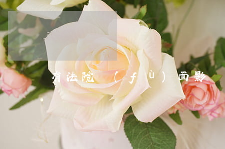 有法院負(fù)面影響可以供車車嗎