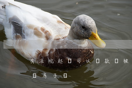 有法院起訴可以貸款嗎(被法院起訴還能貸款買房子嗎)