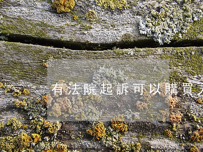 有法院起訴可以購買人身保險嗎