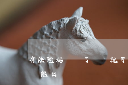 有法院起訴辦了簽證就可以出國嗎(被起訴了還能出國嗎)