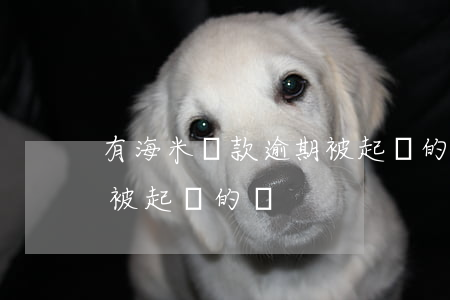 有海米貸款逾期被起訴的嗎(有海米貸款逾期被起訴的嗎)