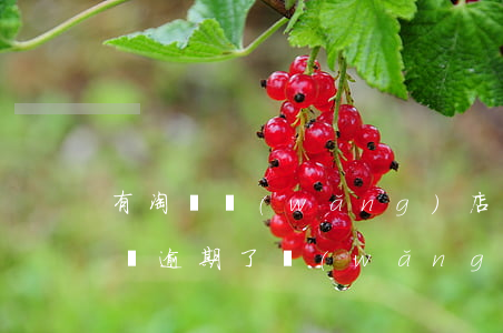 有淘寶網(wǎng)店網(wǎng)商貸逾期了(網(wǎng)商貸花唄逾期,對(duì)淘寶店鋪有影響嗎)