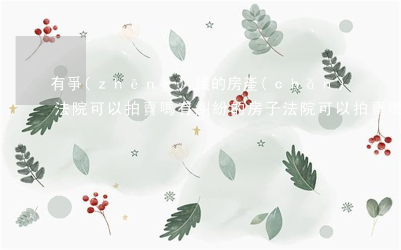 有爭(zhēng)議的房產(chǎn)法院可以拍賣嗎(有糾紛的房子法院可以拍賣嗎)