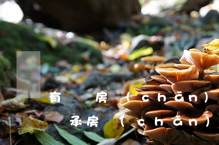 有爭議房產(chǎn)繼承訴訟狀怎么寫(繼承房產(chǎn)糾紛起訴狀)
