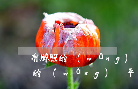 有牌照的網(wǎng)貸公司逾期(有牌照的網(wǎng)貸平臺(tái)名單)