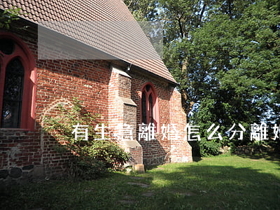 有生意離婚怎么分(離婚有公司怎么分)
