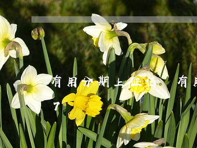 有用分期上征信嗎(有用分期上征信嗎2017)