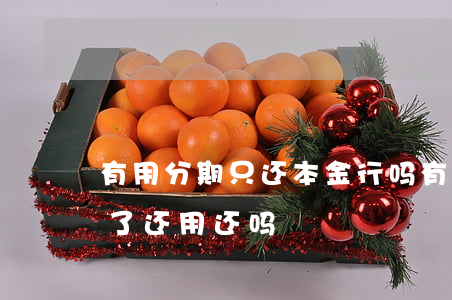 有用分期只还本金行吗(有用分期我还了本金了,还用还吗)