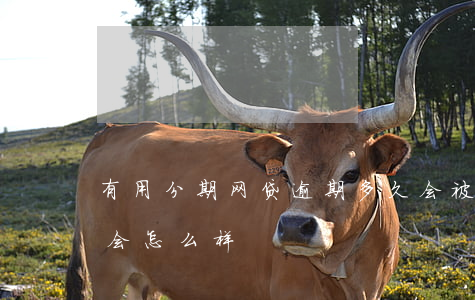 有用分期网贷逾期多久会被起诉(分期了逾期会怎么样)