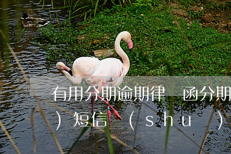 有用分期逾期律師函(分期逾期律師發(fā)短信說(shuō)要起訴)