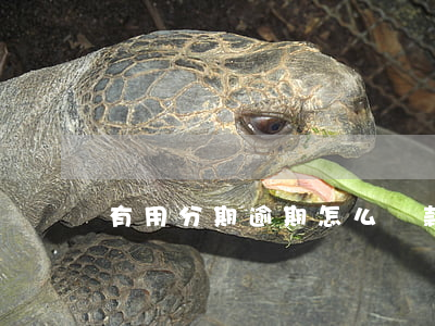 有用分期逾期怎么還款(分期逾期了怎么解決)