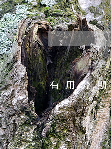 有用分期逾期被起訴-來分期逾期了起訴了