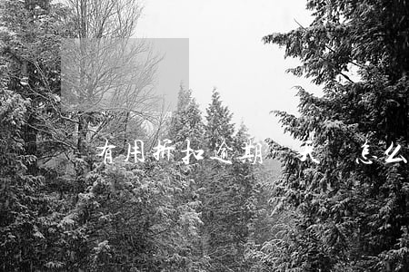 有用折扣逾期兩天會怎么樣(有用折扣app)