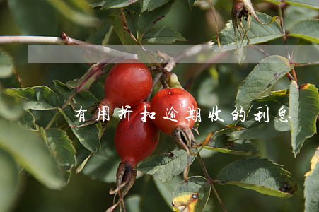 有用折扣逾期收的利息違法嗎