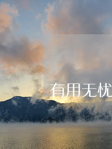 有用无忧逾期起诉(没在无忧保贷过款说逾期)
