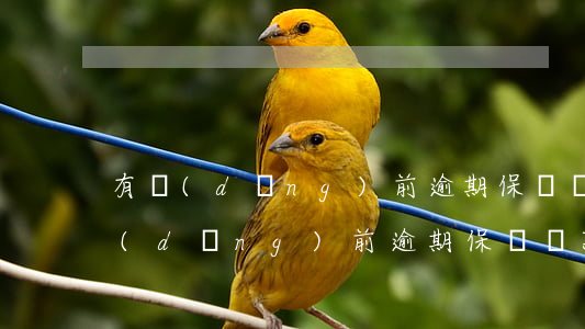 有當(dāng)前逾期保單貸款的嗎(有當(dāng)前逾期保單貸款的嗎)