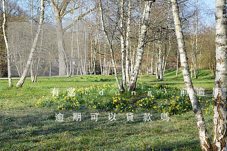 有當(dāng)前逾期可以貸款嗎(近期有逾期可以貸款嗎)