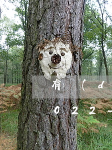 有當(dāng)前逾期哪里可以借到錢2022-有當(dāng)前逾期哪里可以借到錢