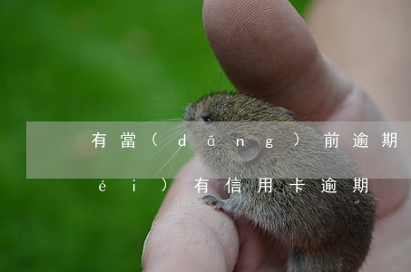 有當(dāng)前逾期辦信用卡(有沒(méi)有信用卡逾期)