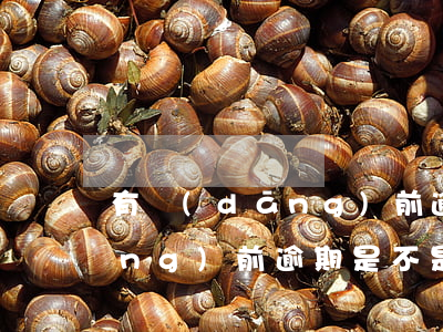 有當(dāng)前逾期這么貸款(當(dāng)前逾期是不是不能貸款了)
