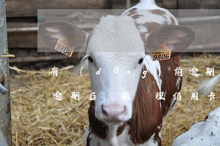 有當(dāng)前逾期還可以辦信用卡嗎(逾期后還能辦理信用卡嗎)
