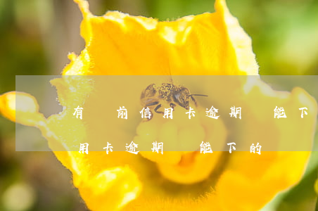 有當前信用卡逾期還能下的網貸-有當前信用卡逾期還能下的網貸嗎