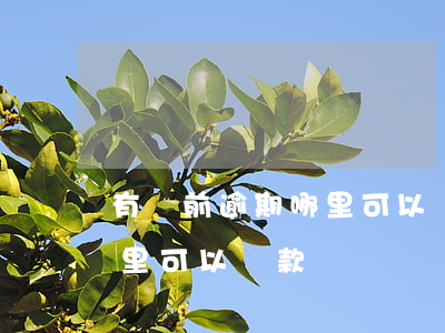 有當前逾期哪里可以貸款(征信有當前逾期哪里可以貸款)